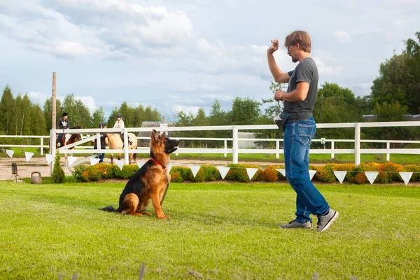 Male Dog Handler Owner Young German Shepherd Dog Trains His — Stock Photo, Image