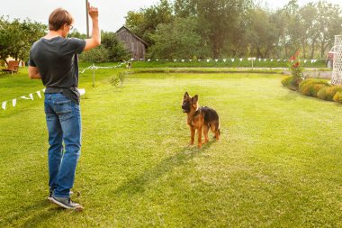 Erkek bir köpek bakıcısı evin yakınındaki yeşil çimenlikte bir Alman çoban köpeğini eğitiyor..