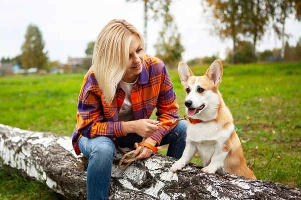 Portrait Woman Dog Corgi Breed Beautiful Blonde Woman Looks Her — Stock Photo, Image