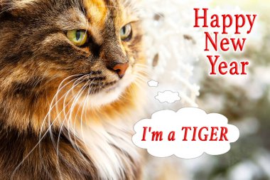 Tebrik kartı Mutlu yıllar, 2022 yılının sembolü olan kış arkaplanı üzerinde kaplan resmi olan güzel bir kedi portresi..