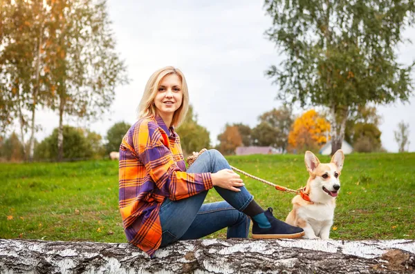 Portrait Woman Welsh Corgi Dog Beautiful Blonde Woman Her Beloved — Stock Photo, Image