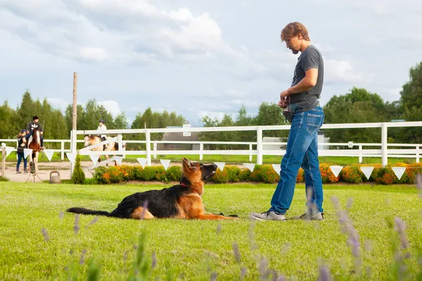Мужчина Управляющий Собакой Владелец Молодой Немецкой Овчарки Тренирует Свою Собаку — стоковое фото