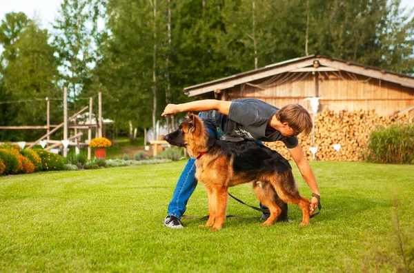 Male Dog Handler Owner Young German Shepherd Dog Trains His — Stock Photo, Image