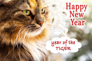 Kaplanın yeni yılı kutlu olsun. Kaplana benzeyen güzel bir kedinin portresiyle. Kış arka planında, 2022 yılının sembolü..