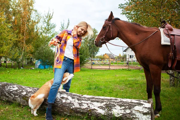 Una Mujer Rubia Con Perro Corgi Galés Caballo Perro Tiene —  Fotos de Stock