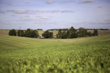 green field stretching to the horizon against the blue sky