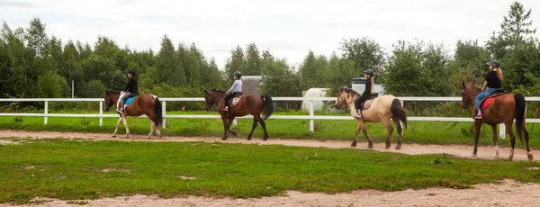 Wit Rusland Regio Vitebsk Juli 2021 Paardrijtraining Voor Kinderen Het — Stockfoto