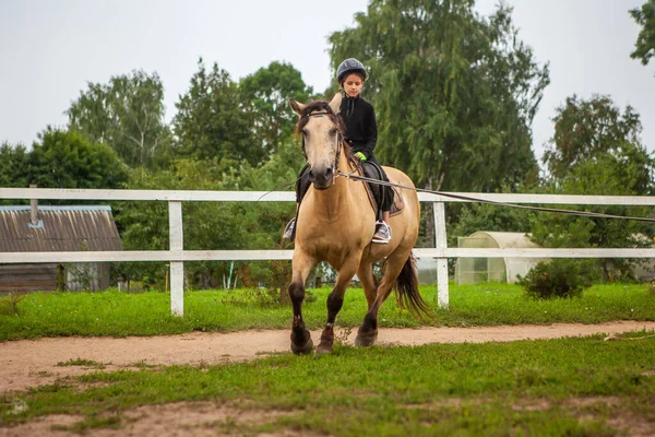 Wit Rusland Regio Vitebsk Juli 2021 Paardrijtraining Voor Kinderen Het Rechtenvrije Stockfoto's