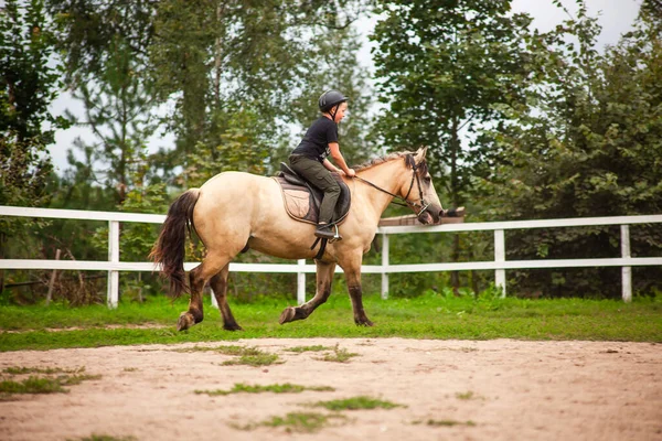 ベラルーシ ヴィテブスク地方 2021年7月9日 子供の乗馬の訓練は パレードの地面には 馬の牧場で スポーツ馬術の訓練の少年は トロットで馬に乗る — ストック写真
