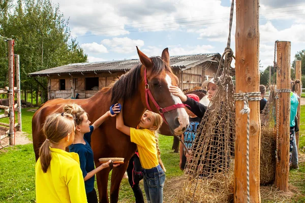 Wit Rusland Vitebsk Juli 2021 Het Kinderkamp Verzorgen Kinderen Het — Stockfoto