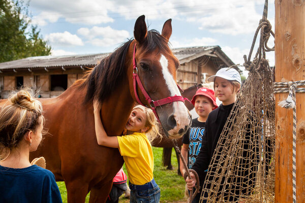 Беларусь, Витебская область, 19.07.2021. В детском конном лагере дети ухаживают за лошадью, гладят и обнимают ее.