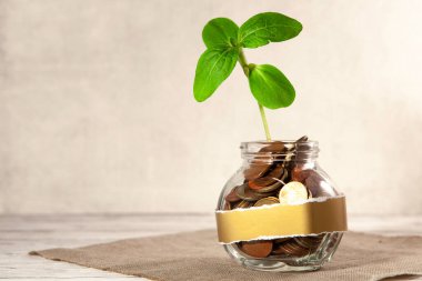 Bozuk paralarla dolu cam kavanoz ve masanın üstünde bitki.. 