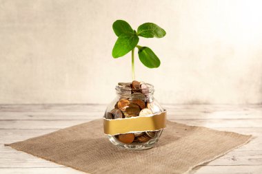 Bozuk paralarla dolu cam kavanoz ve masanın üzerinde bir bitki ve yakınlarda birkaç bozuk para. Finans ve yatırım kavramı. 