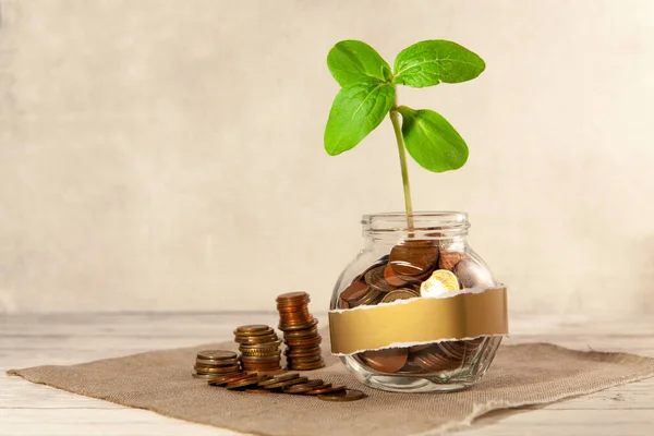 Bozuk paralarla dolu cam kavanoz ve masanın üzerinde bir bitki ve yakınlarda birkaç bozuk para. Finans ve yatırım kavramı. — Stok fotoğraf