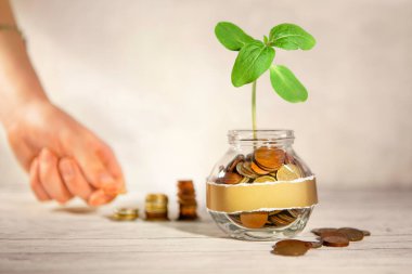 Bozuk paralar ve bitkilerle dolu cam kavanoz. Kadın eli bozuk paraların yanına koyar.. 