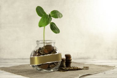 Bozuk paralarla dolu cam kavanoz ve masanın üzerinde bir bitki ve yakınlarda birkaç bozuk para. Finans ve yatırım kavramı. 
