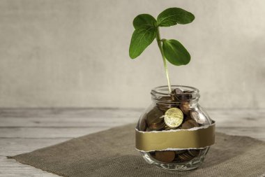 Bozuk paralarla dolu cam kavanoz ve masanın üzerinde bir bitki ve yakınlarda birkaç bozuk para. Finans ve yatırım kavramı. 