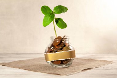 Bozuk paralarla dolu cam kavanoz ve masanın üzerinde bir bitki ve yakınlarda birkaç bozuk para. Finans ve yatırım kavramı. 