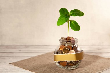 Bozuk paralarla dolu cam kavanoz ve masanın üzerinde bir bitki ve yakınlarda birkaç bozuk para. Finans ve yatırım kavramı. 