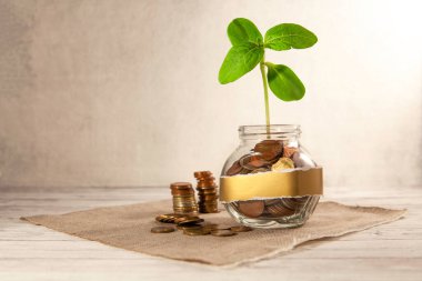Bozuk paralarla dolu cam kavanoz ve masanın üzerinde bir bitki ve yakınlarda birkaç bozuk para. Finans ve yatırım kavramı. Yazma etiketi.