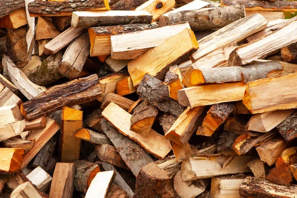 Zásoba Dříví Topení Domu Stromy Byly Pokáceny Rozděleny Palivové Dříví — Stock fotografie
