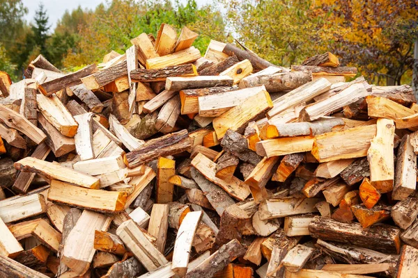 Zásoba Dříví Topení Domu Stromy Byly Pokáceny Rozděleny Palivové Dříví — Stock fotografie