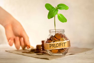 Kâr. Bozuk para ve bitki dolu cam kavanoz, arka planda dişi bir el cam kavanozun yanına bozuk para koyar. Para biriktirmek, yatırım yapmak, para kazanmak, finansal zenginlik yönetimi kavramı. 