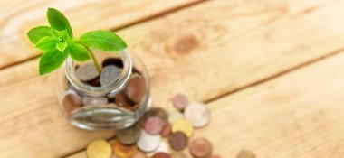 İçinde bozuk para ve bitki olan cam bir kavanoz, yakınlardaki tahta bir masanın üstünde birkaç bozuk para, yukarıdan görüş. Finans ve yatırım kavramı. 