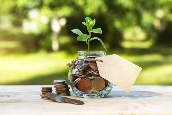 Tarro Vidrio Con Monedas Una Planta Con Una Etiqueta Tarro Fotos de stock