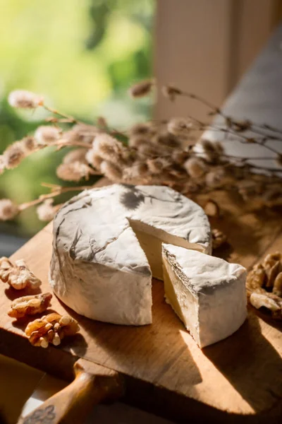 Peynir peyniri ya da peynirli camembert peyniri. Ceviz ve köy usulü. Yakın görünüm, seçici odak — Stok fotoğraf