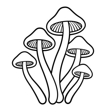 Sihirli mantarlar Psilocybe cubensis. Siyah beyaz çizgi çiziyor. Vektör klibi resim çizimi.