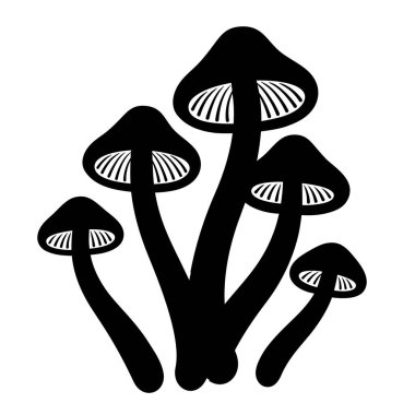 Sihirli mantarlar Psilocybe cubensis. Siyah beyaz çizim. Vektör klibi resim çizimi.