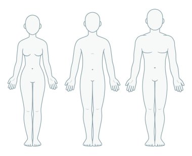Adult male, female and unisex body chart, front view. Blank adult human body template for medical infographic. Isolated vector illustration set. clipart