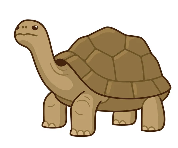 Galapagos Giant Tortoise Cartoon Drawing Cute Vector Illustration — Stock vektor