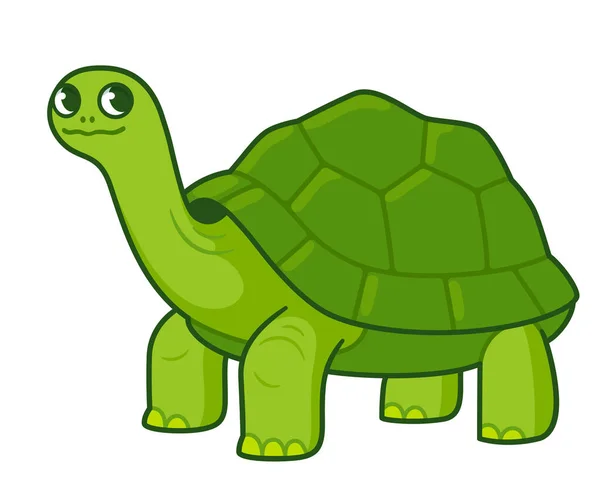Cute Cartoon Giant Tortoise Drawing — Stock vektor