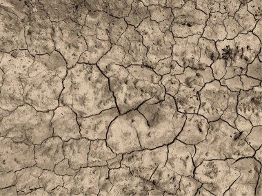 Çatlak yeryüzü arka planı. Toprak yüzeyinde çatlaklar var. Çamur çatlakları.