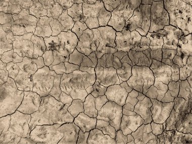 Çatlak yeryüzü arka planı. Toprak yüzeyinde çatlaklar var. Çamur çatlakları.