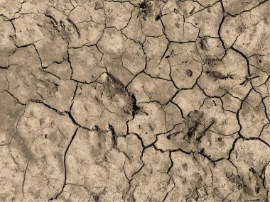 Çatlak yeryüzü arka planı. Toprak yüzeyinde çatlaklar var. Çamur çatlakları.