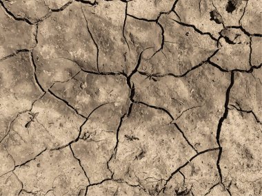Çatlak yeryüzü arka planı. Toprak yüzeyinde çatlaklar var. Çamur çatlakları.