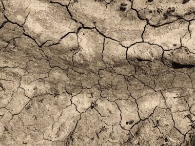 Çatlak yeryüzü arka planı. Toprak yüzeyinde çatlaklar var. Çamur çatlakları.