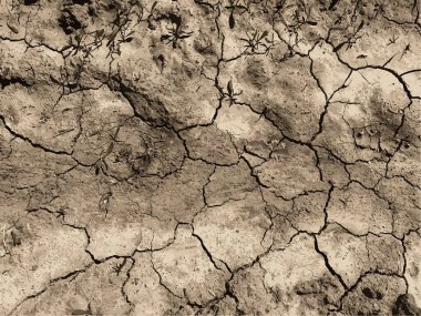 Çatlak yeryüzü arka planı. Toprak yüzeyinde çatlaklar var. Çamur çatlakları.