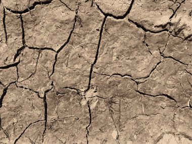 Çatlak yeryüzü arka planı. Toprak yüzeyinde çatlaklar var. Çamur çatlakları.