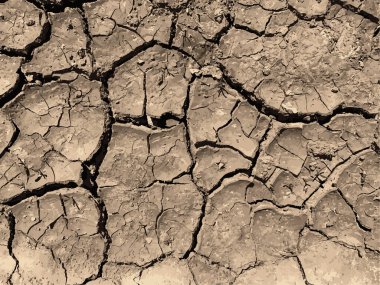 Çatlak yeryüzü arka planı. Toprak yüzeyinde çatlaklar var. Çamur çatlakları.