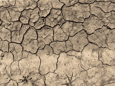 Çatlak yeryüzü arka planı. Toprak yüzeyinde çatlaklar var. Çamur çatlakları.