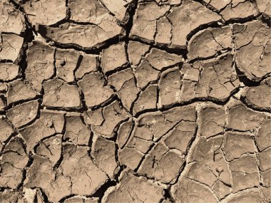 Çatlak yeryüzü arka planı. Toprak yüzeyinde çatlaklar var. Çamur çatlakları.