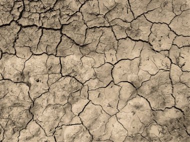 Çatlak yeryüzü arka planı. Toprak yüzeyinde çatlaklar var. Çamur çatlakları.