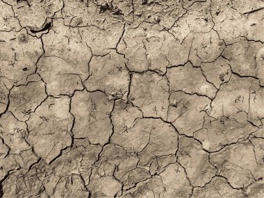 Çatlak yeryüzü arka planı. Toprak yüzeyinde çatlaklar var. Çamur çatlakları.