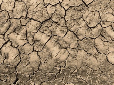 Çatlak yeryüzü arka planı. Toprak yüzeyinde çatlaklar var. Çamur çatlakları.