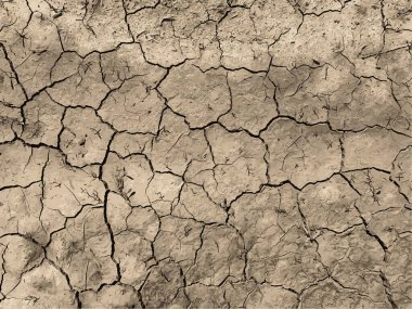 Çatlak yeryüzü arka planı. Toprak yüzeyinde çatlaklar var. Çamur çatlakları.