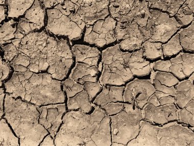 Çatlak yeryüzü arka planı. Toprak yüzeyinde çatlaklar var. Çamur çatlakları.